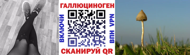 Галлюциногенные грибы Psilocybine cubensis  Купить  Лысково 